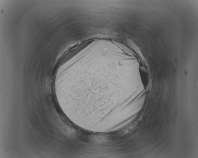 X0000081420106200702092144