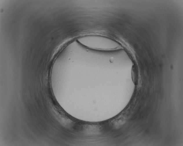 X0000081420107200702092144