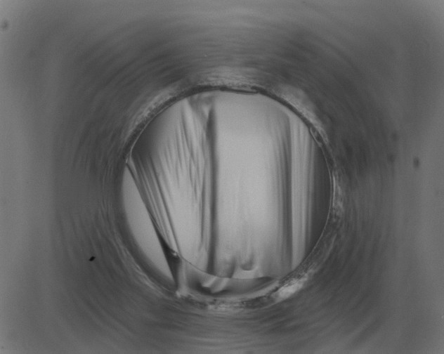 X0000081420109200702092144