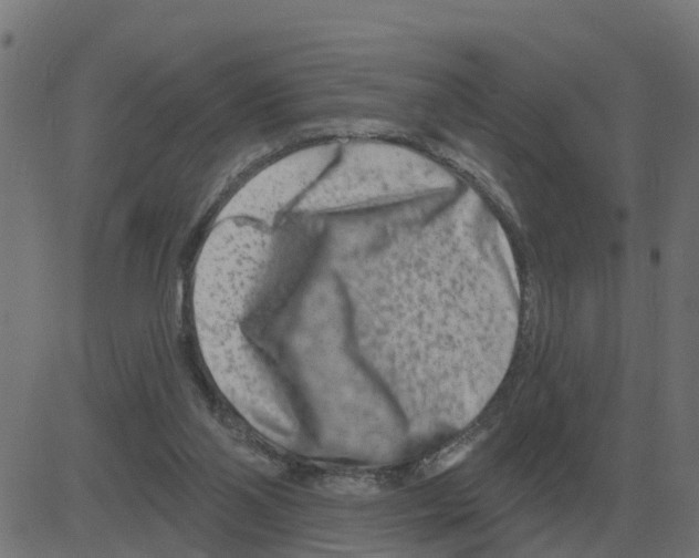 X0000081420110200702092143