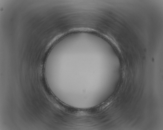 X0000081420111200702092143