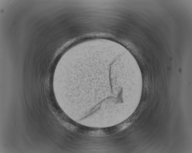 X0000081420112200702092143