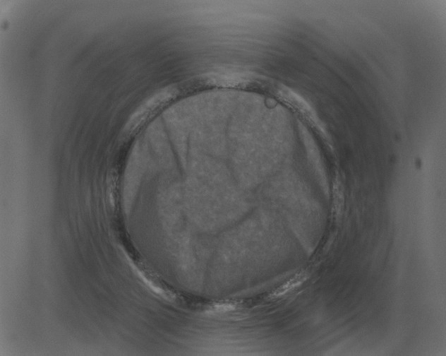 X0000081420114200702092143