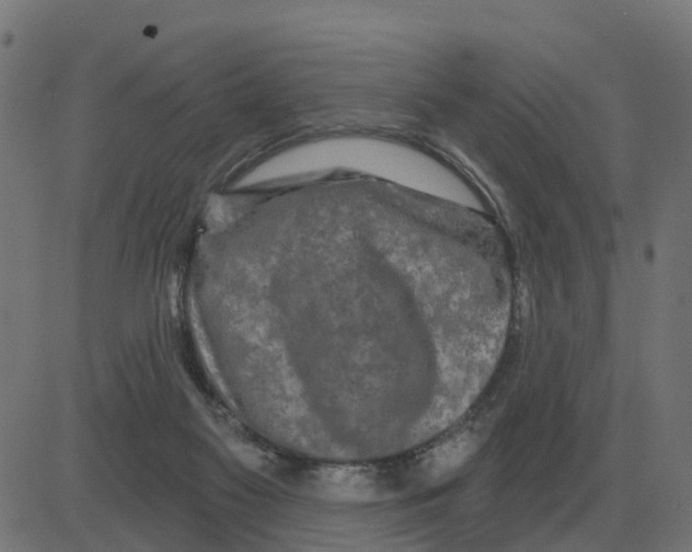 X0000081420117200702092143