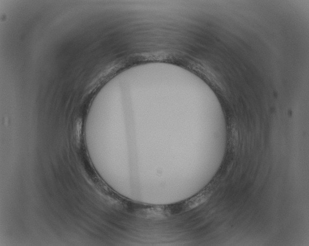 X0000081420118200702092143