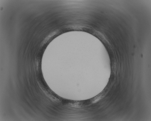 X0000081420120200702092143