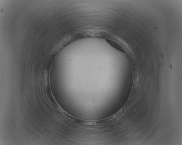 X0000081420121200702092143