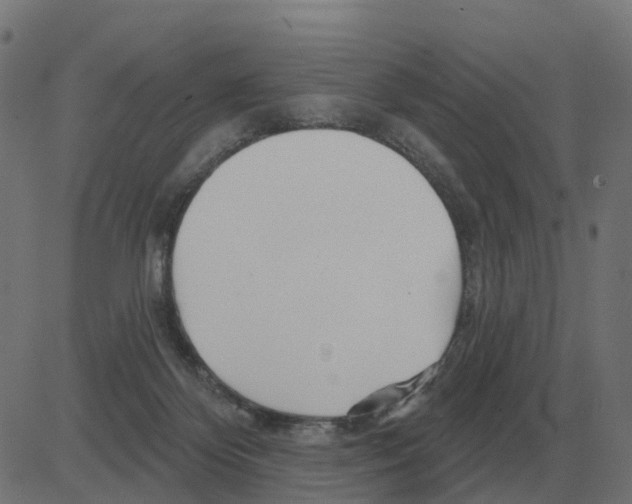 X0000081420124200702092143