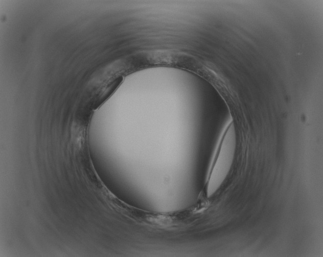 X0000081420125200702092143