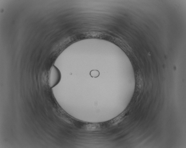 X0000081420126200702092143