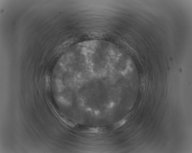 X0000081420130200702092143