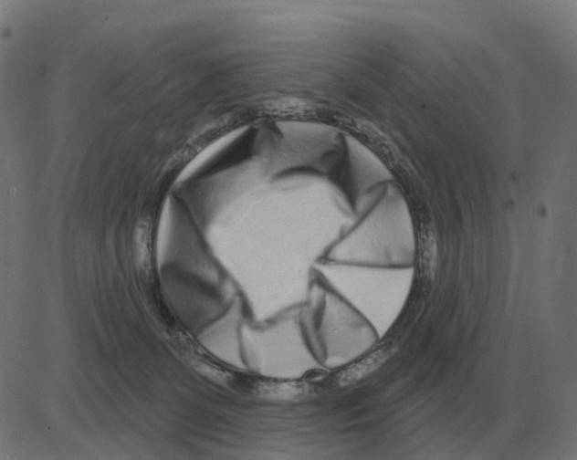 X0000081420131200702092143