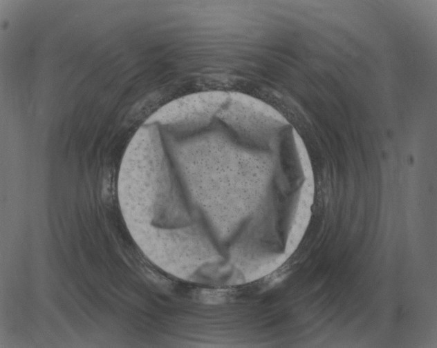 X0000081420134200702092143