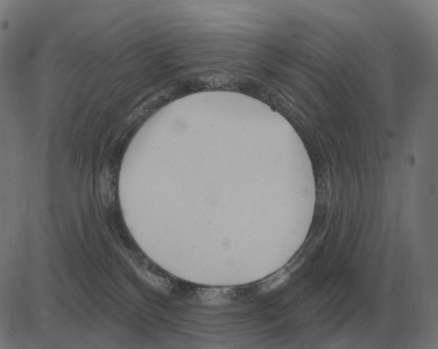 X0000081420136200702092143