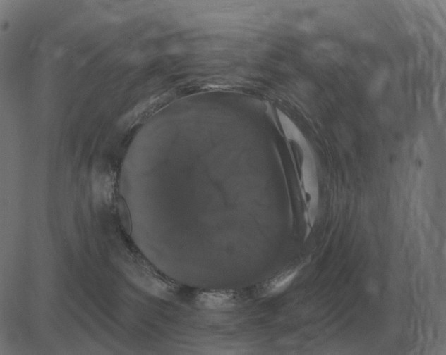 X0000081420139200702092143