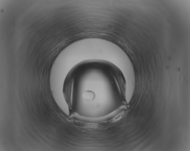 X0000081420143200702092143