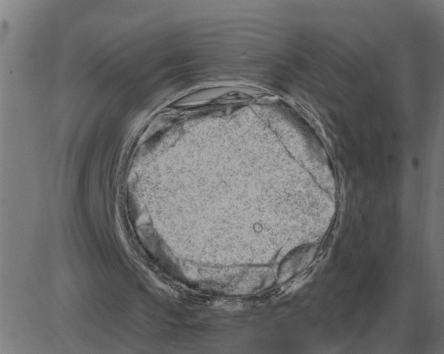 X0000081420145200702092142