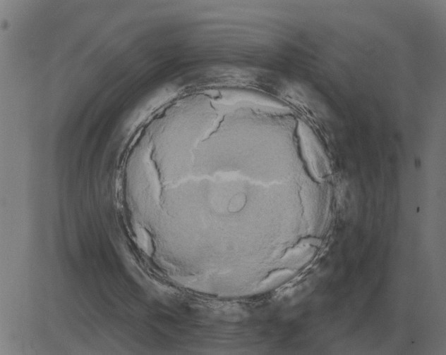 X0000081420146200702092142