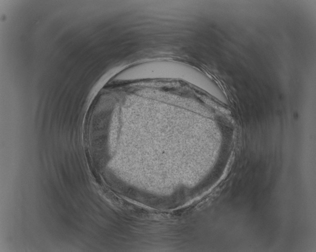 X0000081420147200702092142