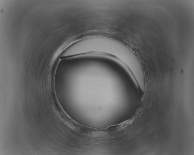 X0000081420150200702092142