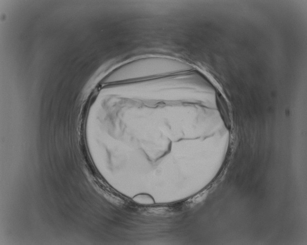 X0000081420151200702092142