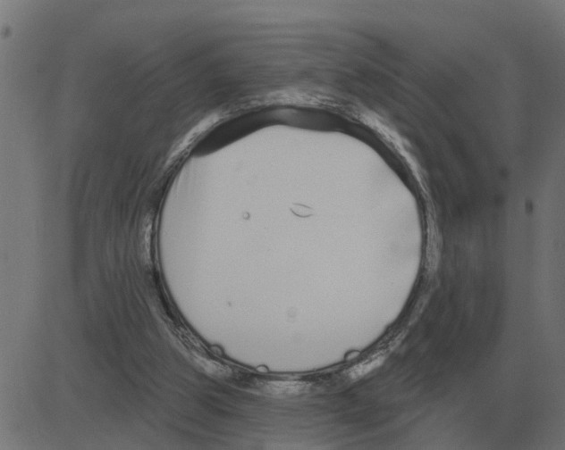 X0000081420153200702092142