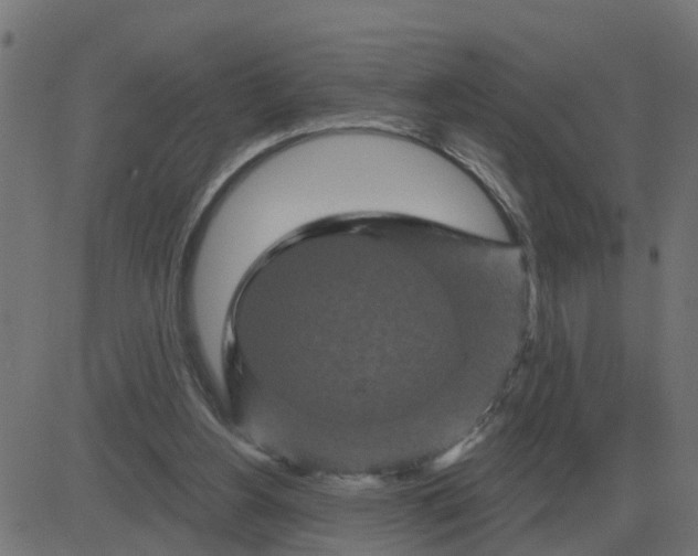 X0000081420156200702092142