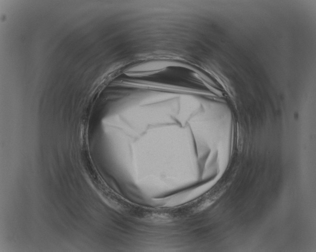 X0000081420157200702092142