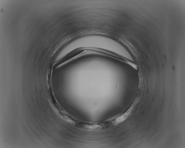 X0000081420158200702092142