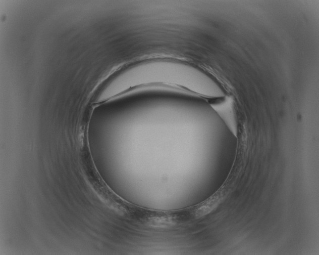 X0000081420160200702092142