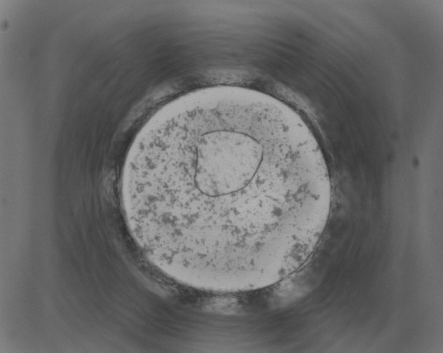 X0000081420162200702092142