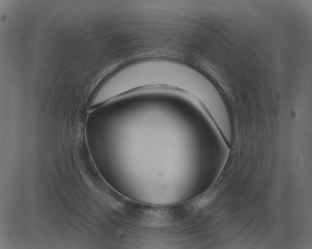 X0000081420164200702092142