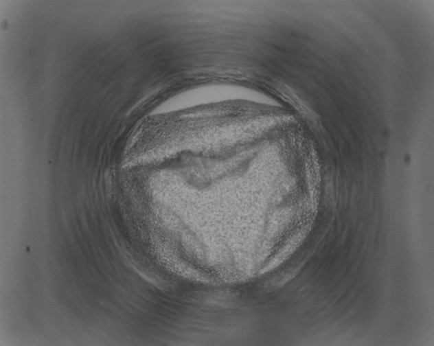 X0000081420165200702092142