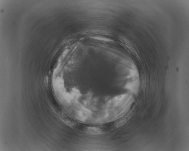 X0000081420167200702092143