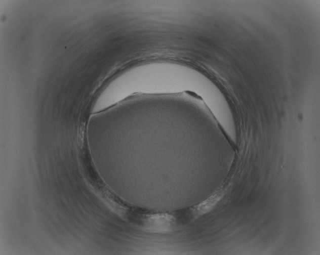 X0000081420168200702092143