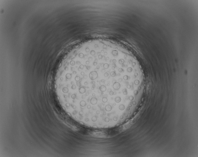 X0000081420171200702092143