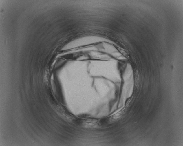 X0000081420175200702092143