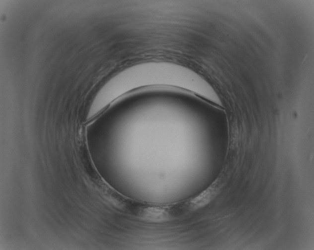 X0000081420176200702092143