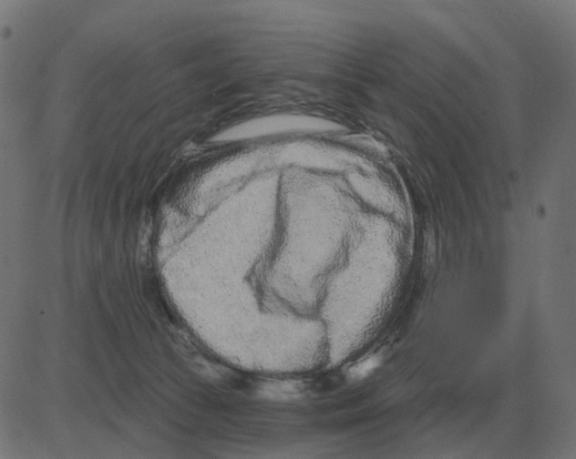 X0000081420177200702092143