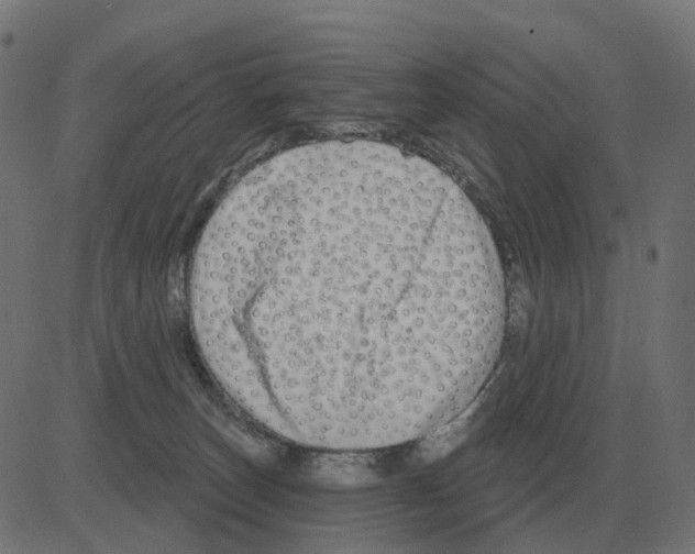 X0000081420179200702092143