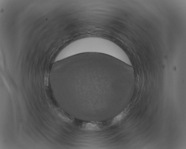 X0000081420180200702092143