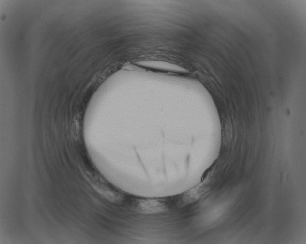 X0000081420183200702092143