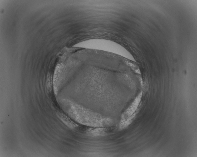 X0000081420186200702092143