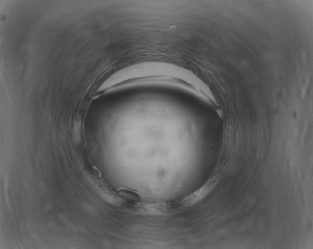 X0000081420188200702092143