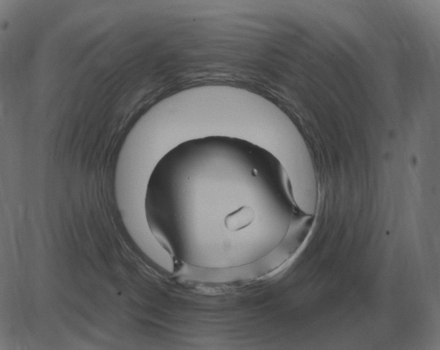 X0000081420190200702092143