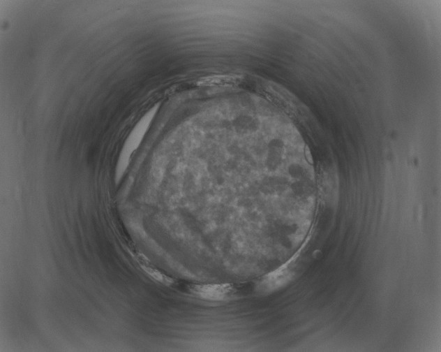 X0000081420191200702092143