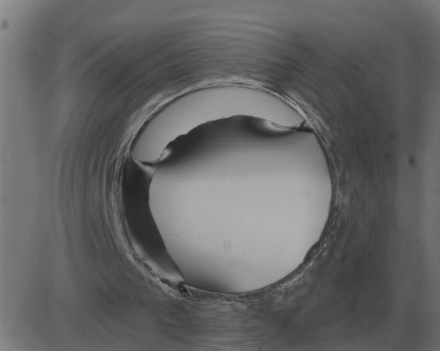 X0000081420193200702092142