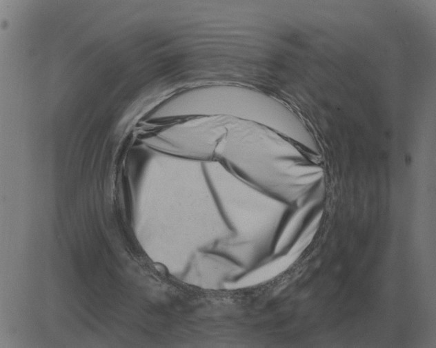 X0000081420194200702092142