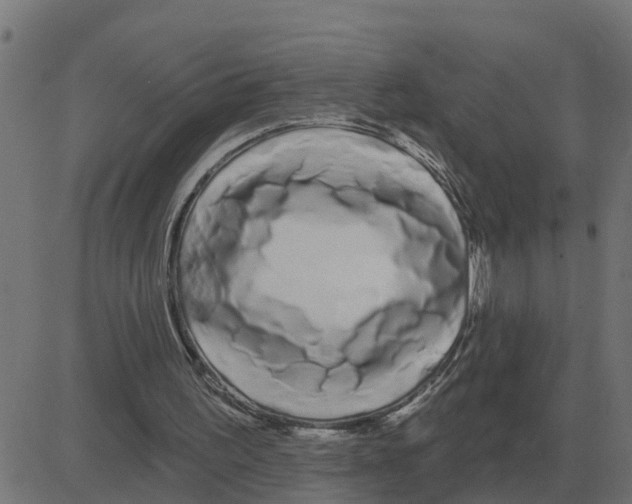 X0000081420195200702092142