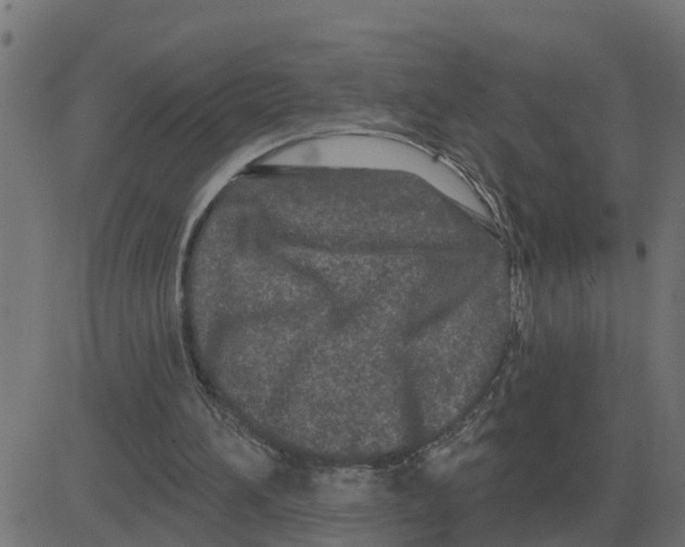 X0000081420196200702092142